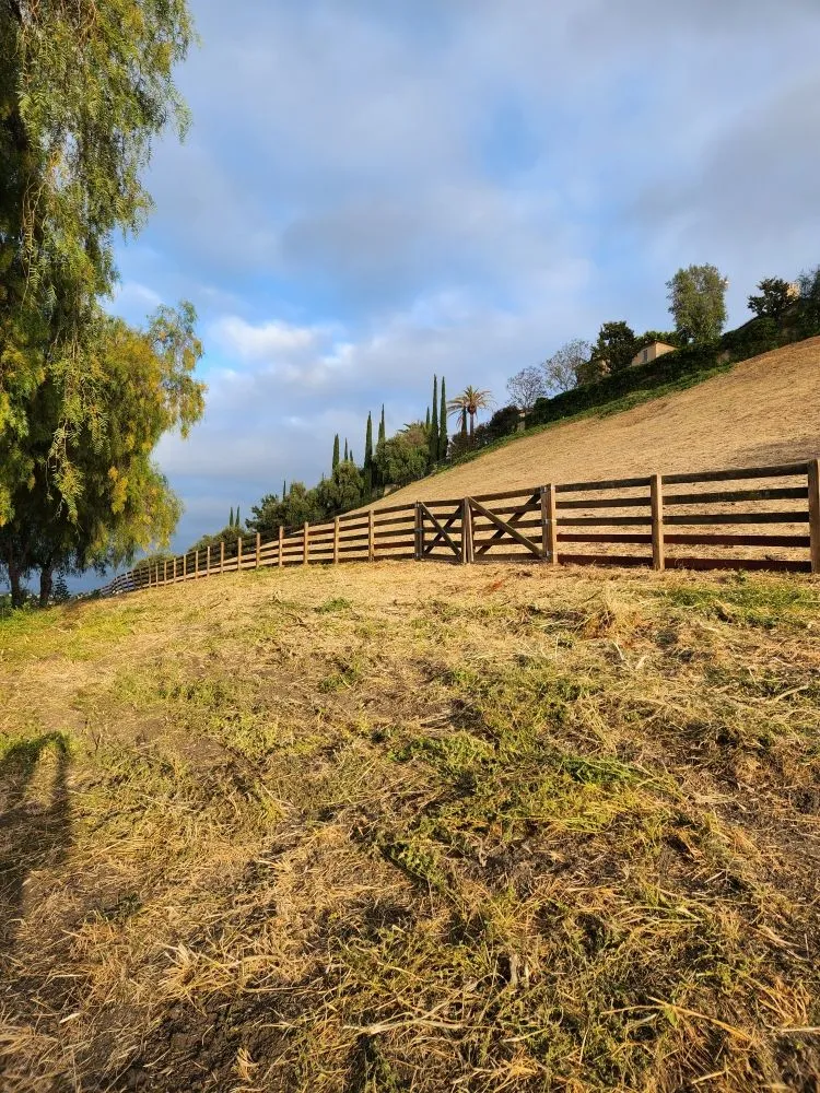 Custom landscaping services in Santa Ana, CA by Ebenezer Landscape