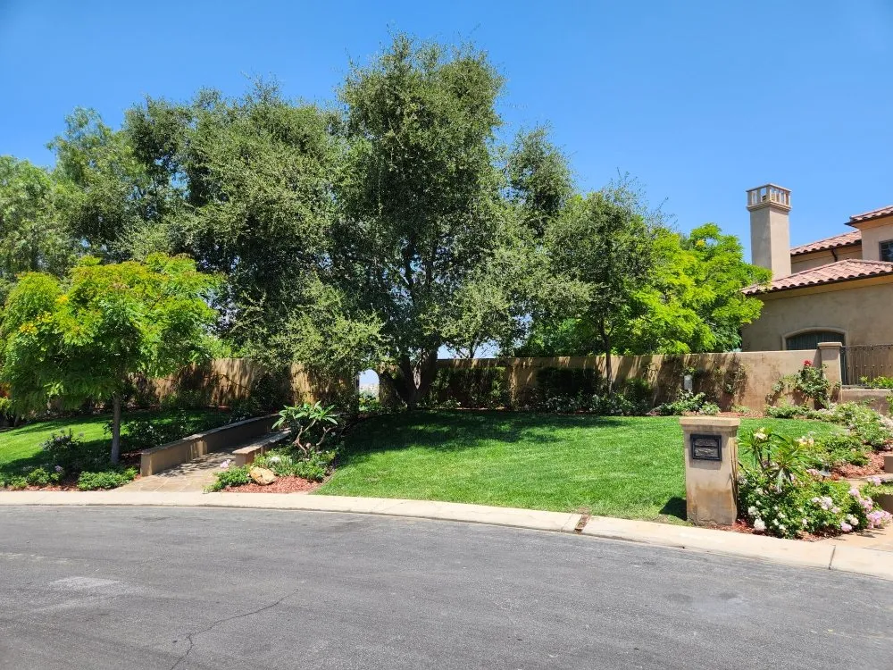 Professional lawn mowing service in Santa Ana, CA - Ebenezer Landscape