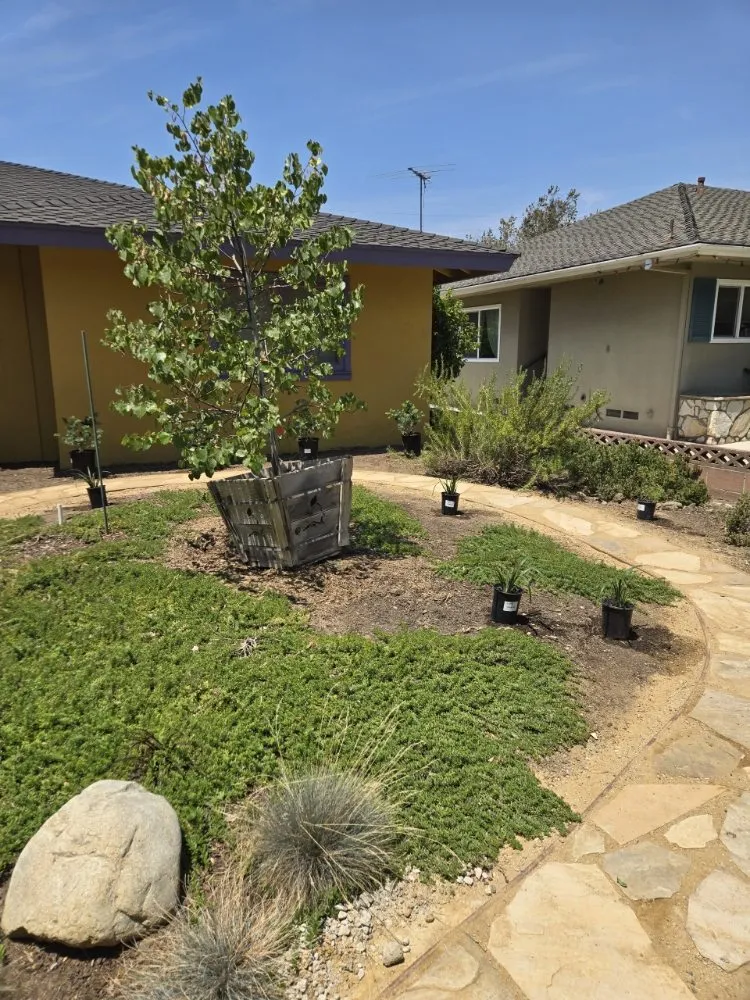 Professional landscape design for homes across Santa Ana, CA - Ebenezer Landscape