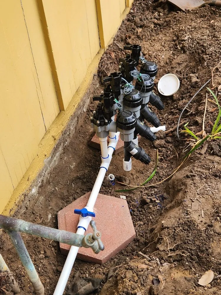 Local landscape installation in Santa Ana, CA by Ebenezer Landscape