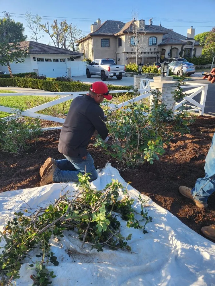 Affordable outdoor landscaping experts serving Santa Ana, CA - Ebenezer Landscape