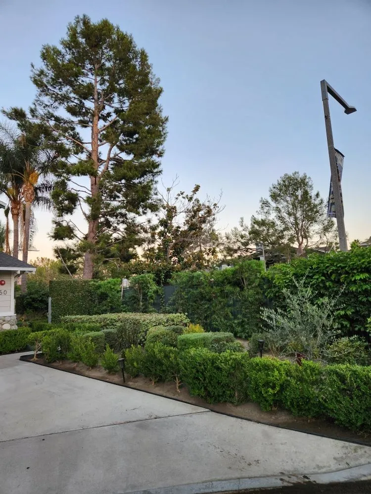 Trusted outdoor landscaping experts serving Santa Ana, CA - Ebenezer Landscape