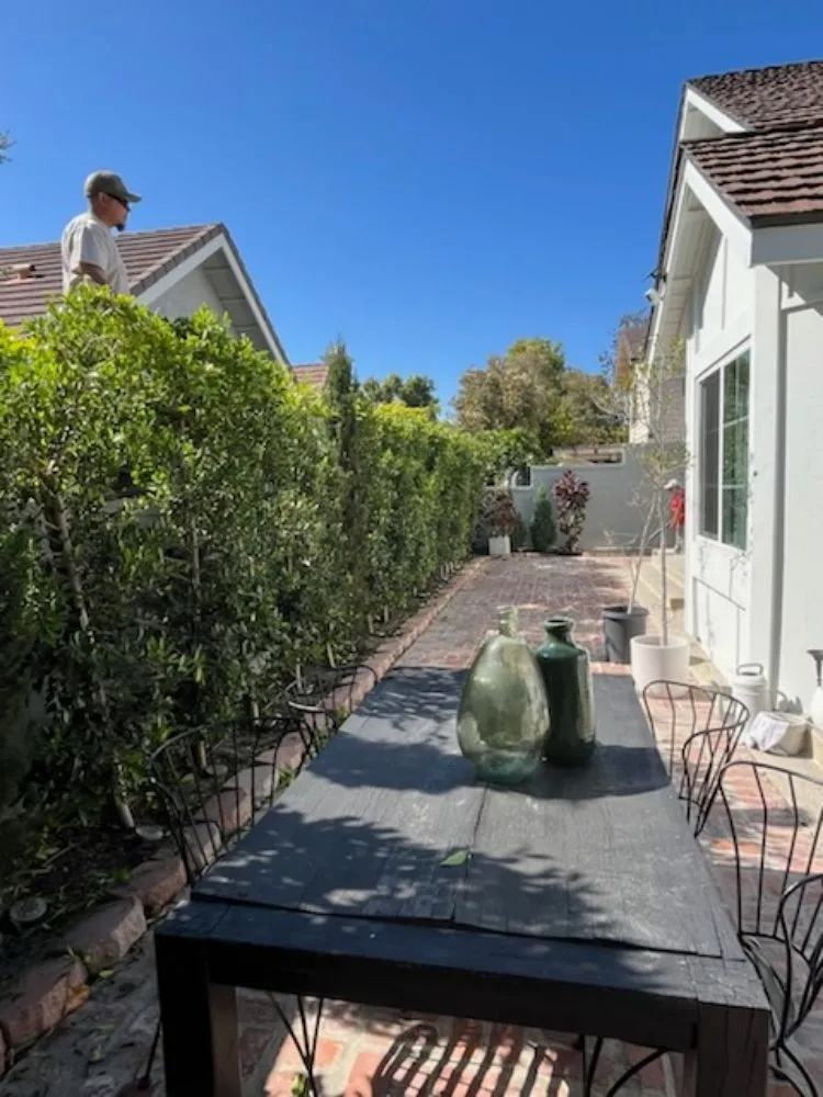Local residential landscaping for beautiful yards across Santa Ana, CA - Ebenezer Landscape