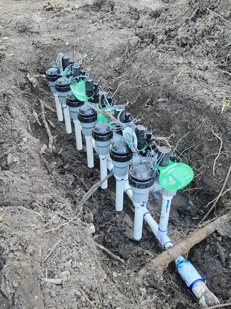 Professional lawn care service for year-round maintenance in Santa Ana, CA by Ebenezer Landscape