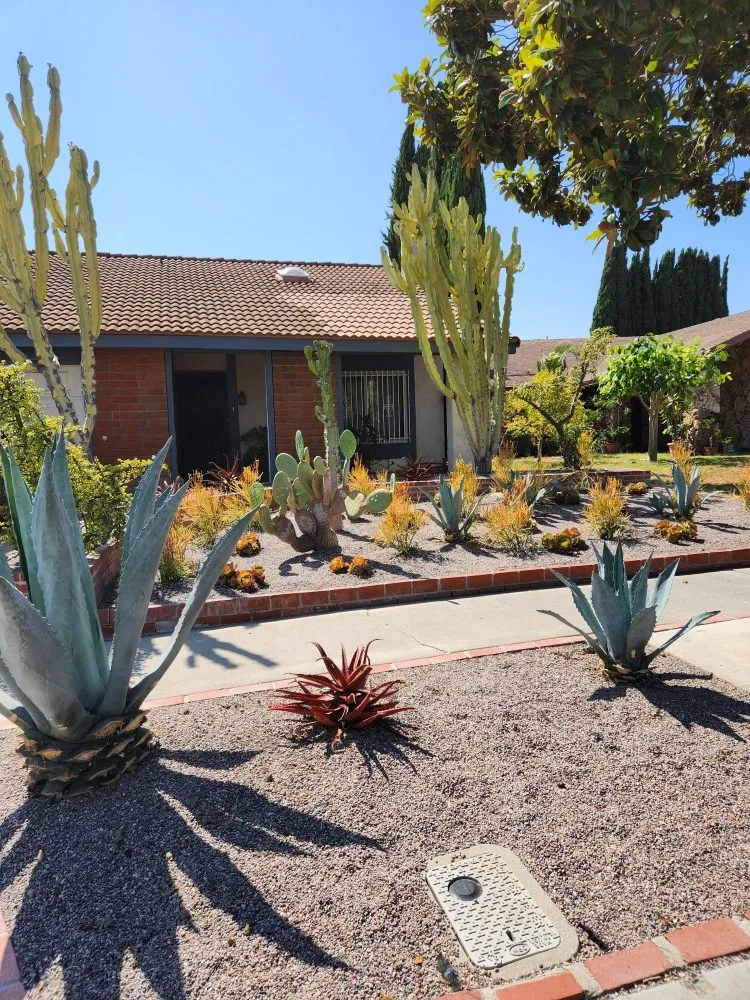 Local landscape design experts serving Santa Ana, CA - Ebenezer Landscape