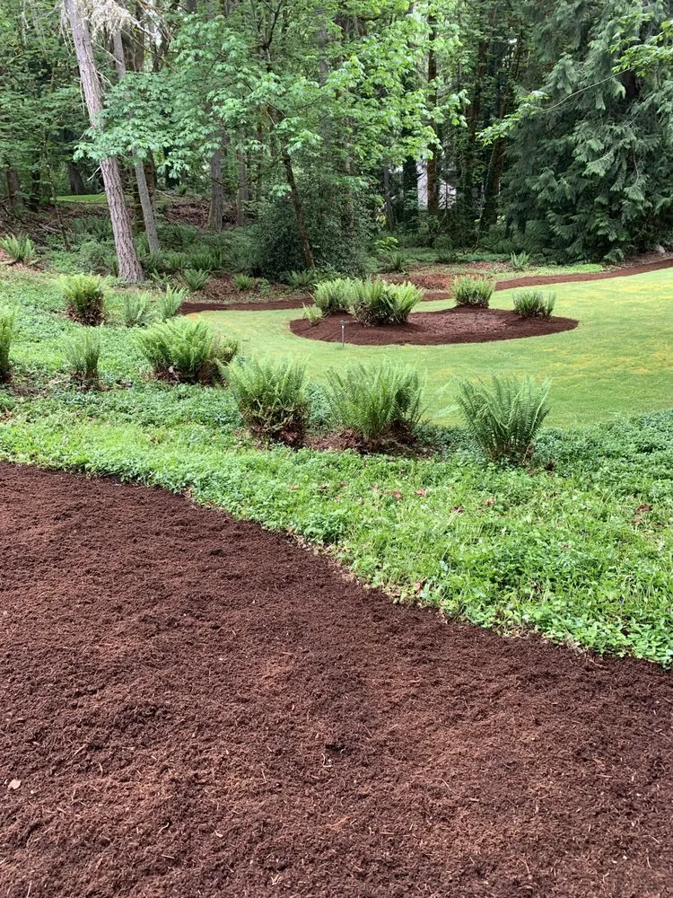 Top-rated residential landscaping in Bellevue, WA - Ebenezer Landscaping