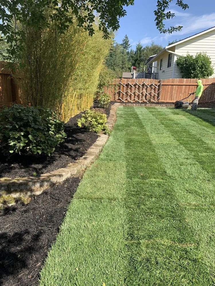 Trusted residential landscaping near you across Bellevue, WA - Ebenezer Landscaping