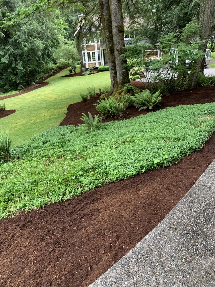Reliable garden landscaping in Bellevue, WA by Ebenezer Landscaping