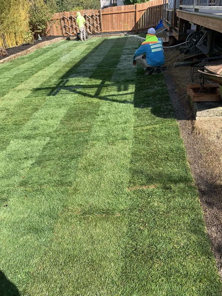 Custom garden landscaping experts serving Bellevue, WA - Ebenezer Landscaping