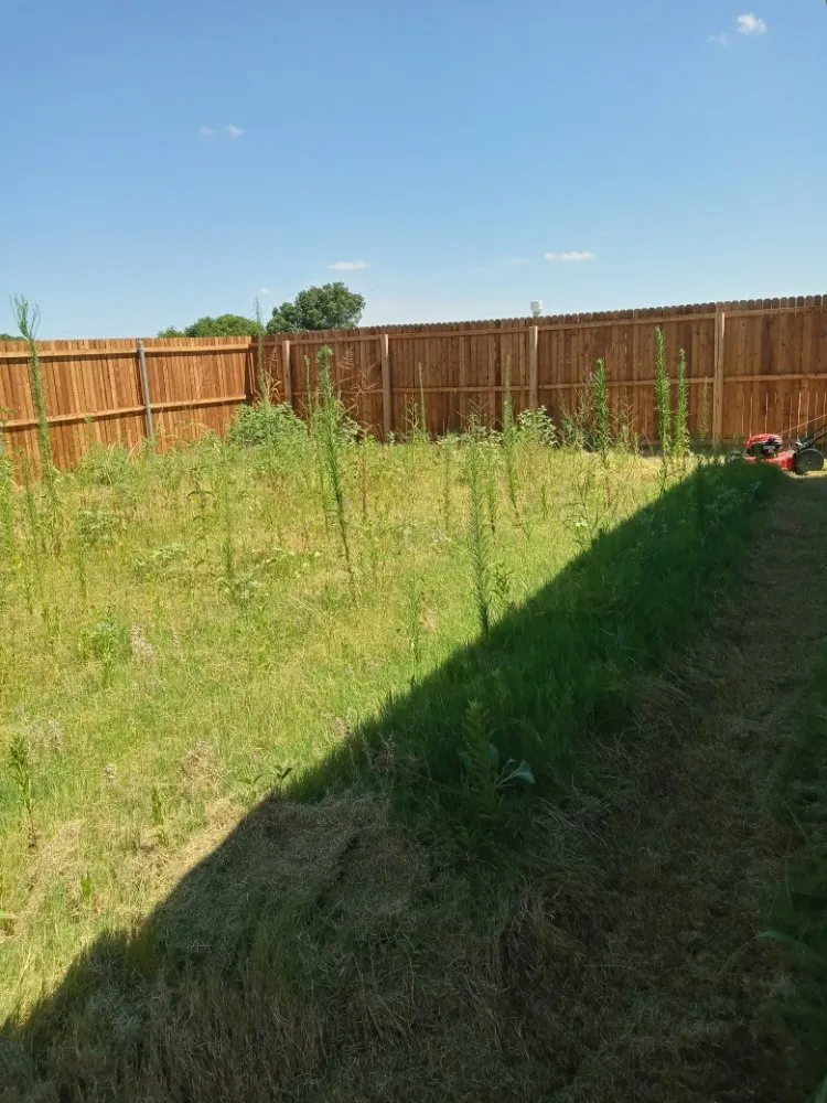 Local lawn mowing service for year-round maintenance in Mesquite, TX by Ebenezer landscaping