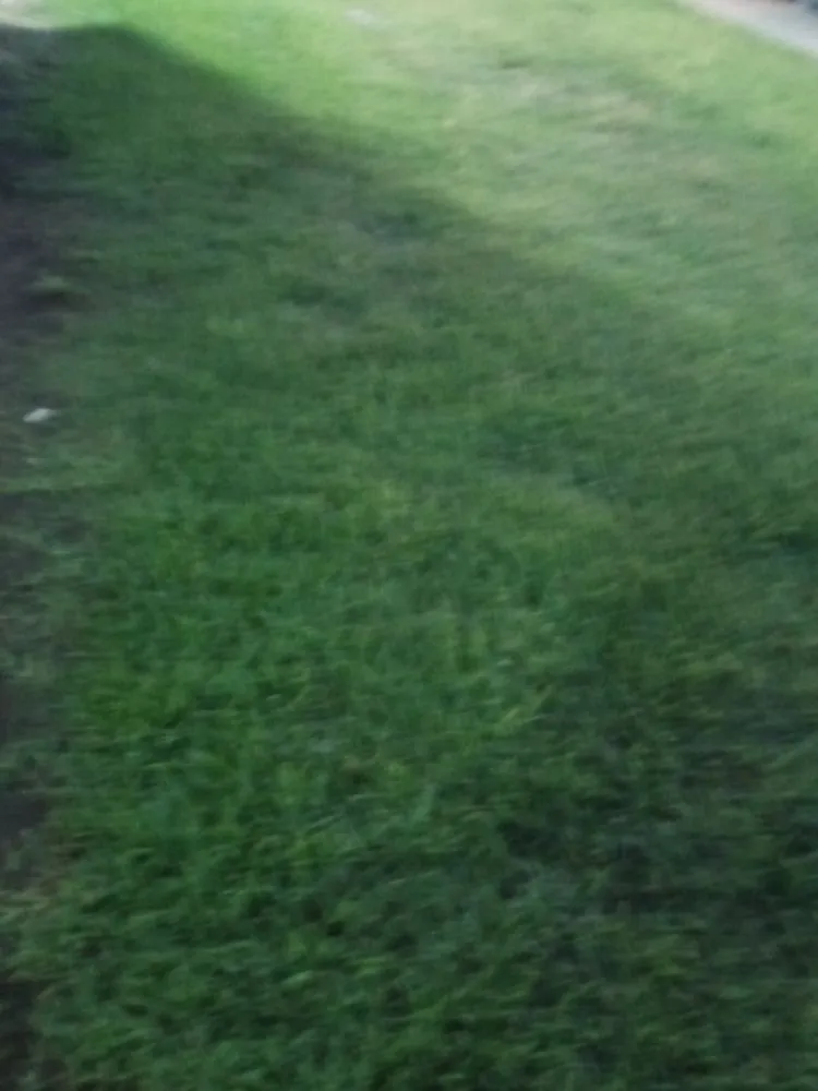 Custom landscaping services in Mesquite, TX by Ebenezer landscaping