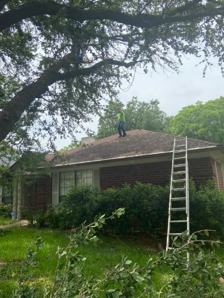 Affordable yard maintenance experts serving Mesquite, TX - Ebenezer landscaping