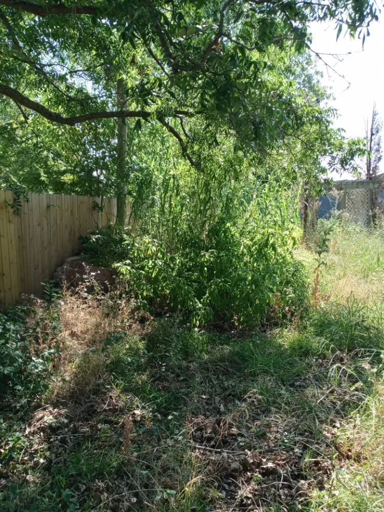 Custom yard cleanup service in Mesquite, TX by Ebenezer landscaping