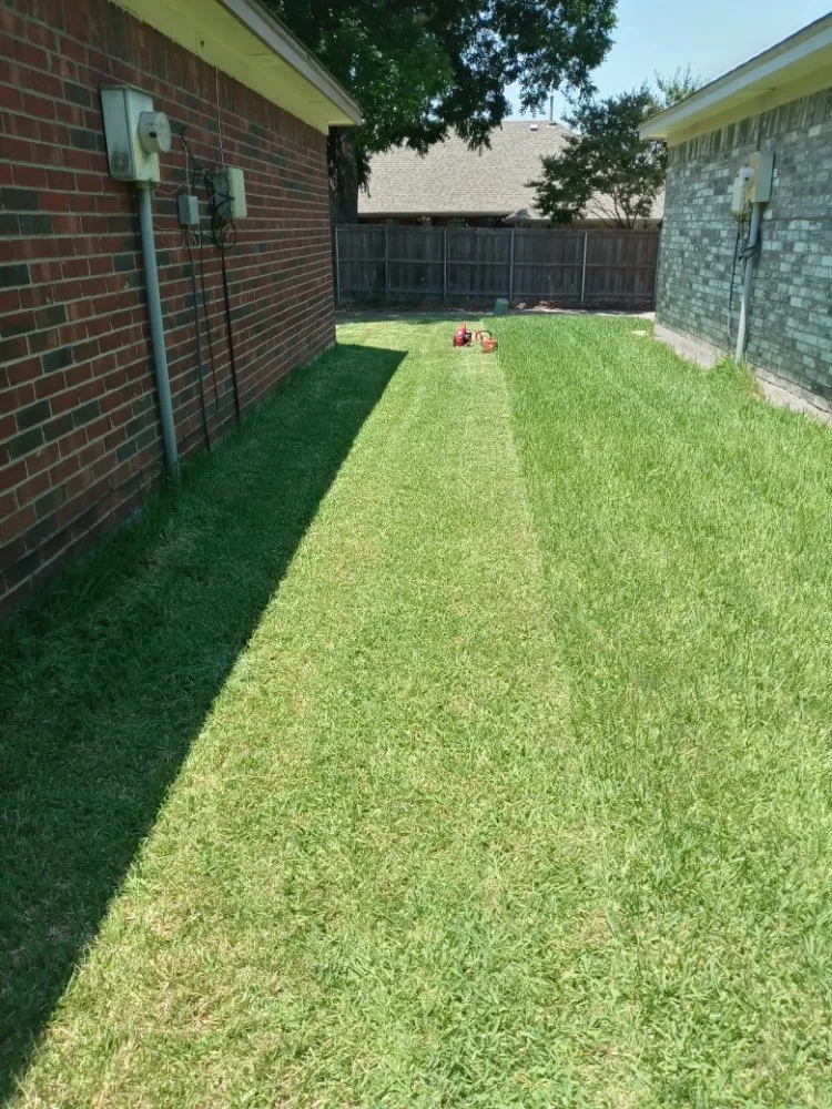 Custom lawn mowing service in Mesquite, TX by Ebenezer landscaping