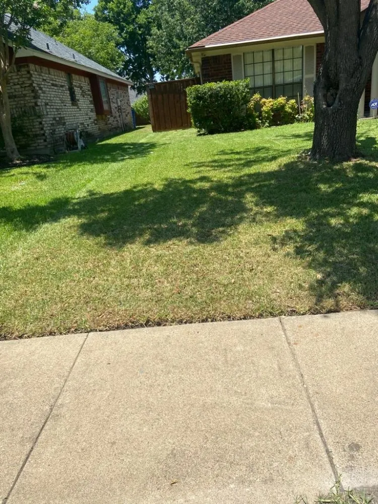 Expert yard maintenance in Mesquite, TX by Ebenezer landscaping