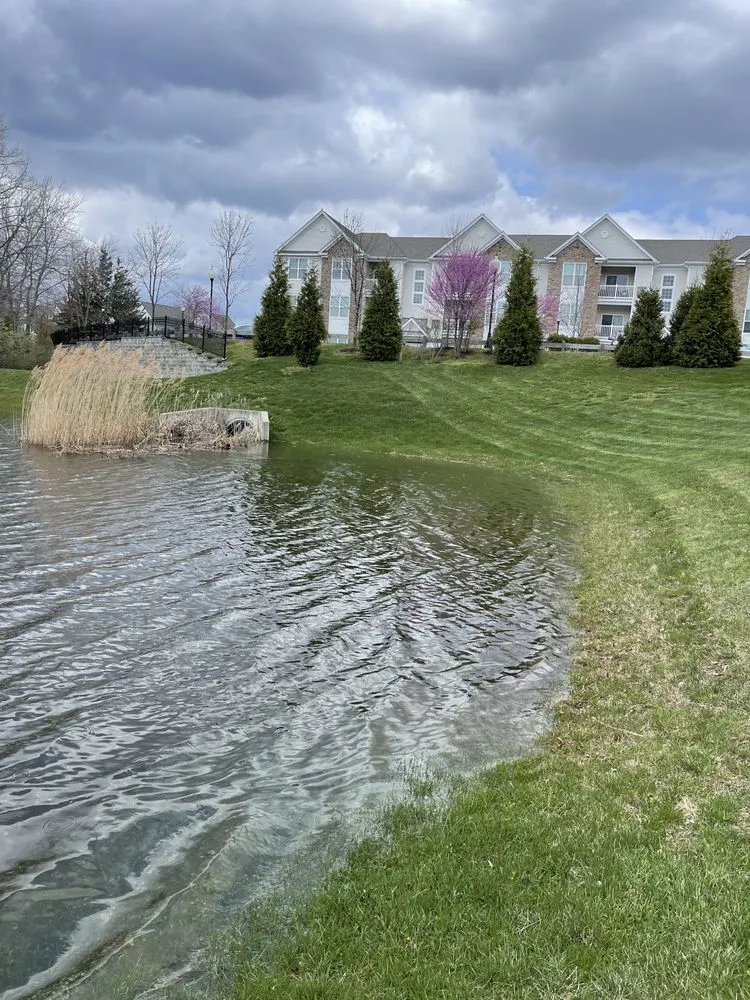 Expert landscape installation for year-round maintenance in North Plainfield, NJ by Ebenezer Landscaping