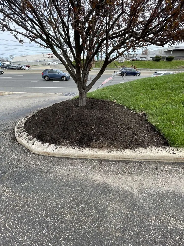 Professional residential landscaping for beautiful yards in North Plainfield, NJ by Ebenezer Landscaping