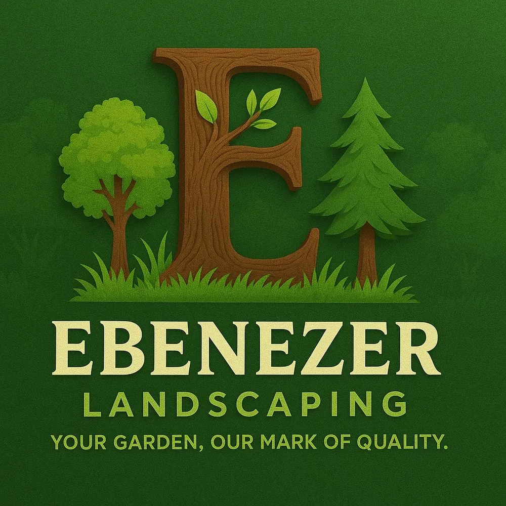 Top-rated outdoor landscaping for beautiful yards in Phoenix, AZ by Ebenezer Landscaping