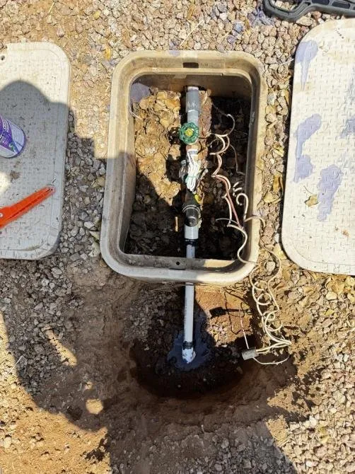 Reliable lawn care service with custom design across Phoenix, AZ - Ebenezer Landscaping