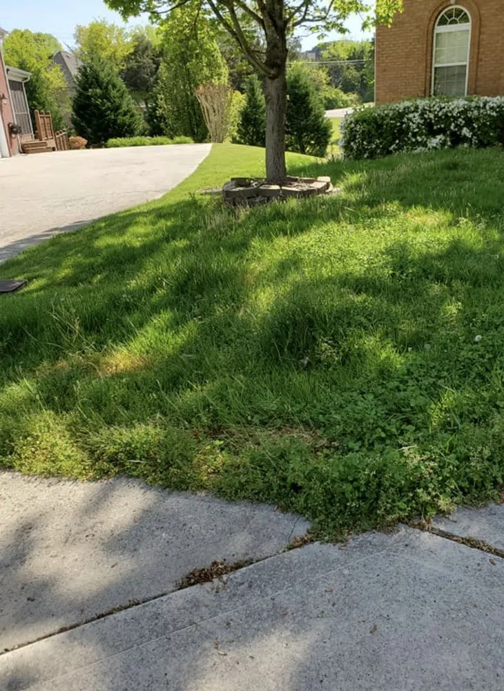 Top-rated garden landscaping in Knoxville, TN - Ebenezer Lawn Care