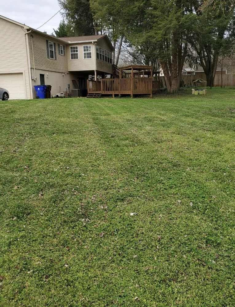 Custom yard cleanup service experts serving Knoxville, TN - Ebenezer Lawn Care