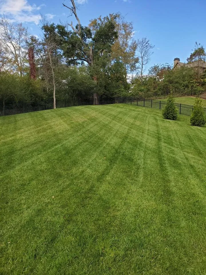 Top-rated outdoor landscaping in Knoxville, TN - Ebenezer Lawn Care