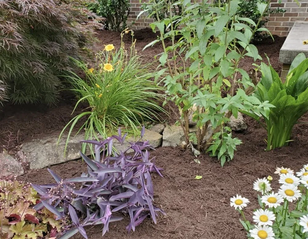 Professional garden landscaping for residential properties across Knoxville, TN - Ebenezer Lawn Care