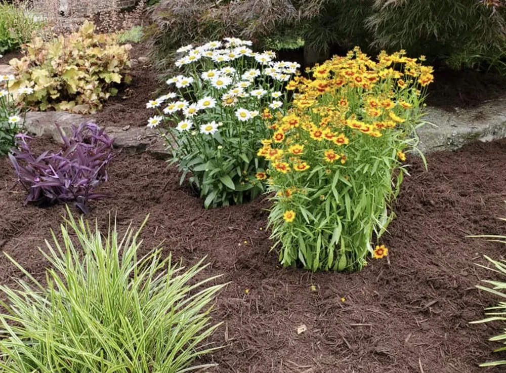 Custom lawn care service experts serving Knoxville, TN - Ebenezer Lawn Care