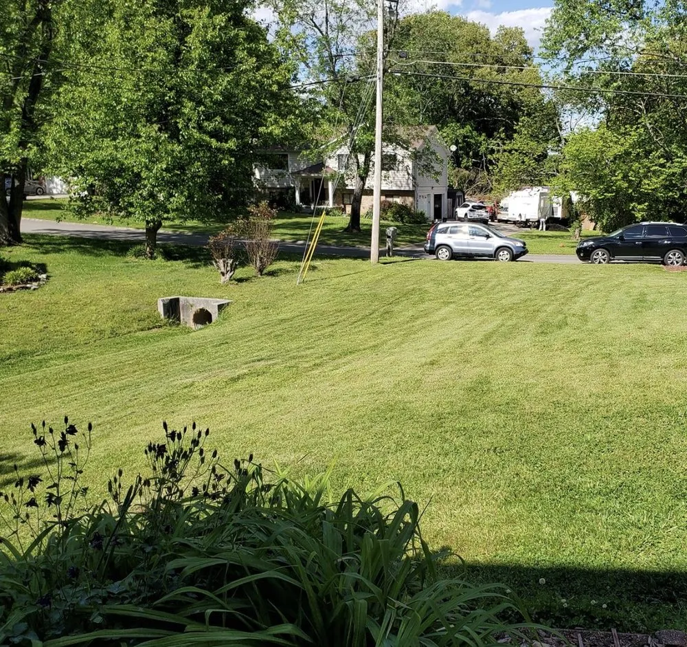 Reliable landscaping services in Knoxville, TN by Ebenezer Lawn Care