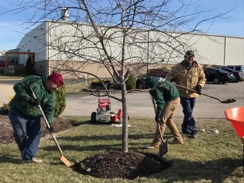 Professional yard cleanup service in Wadsworth, OH by Eberhardt Landscaping & Lawn Service Inc