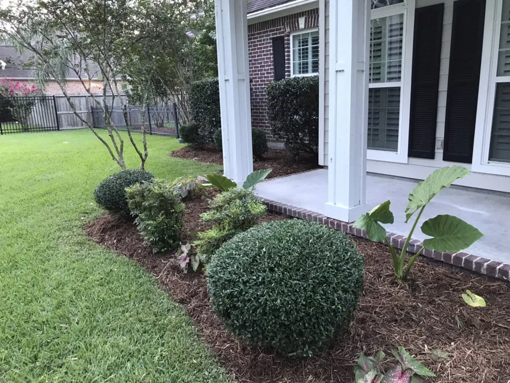 Affordable lawn mowing service for beautiful yards in Dickinson, TX by Eber's landscape and Tree Service