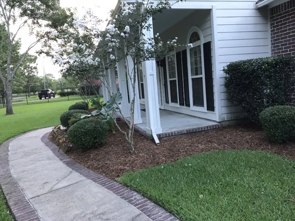 Expert yard cleanup service in Dickinson, TX by Eber's landscape and Tree Service