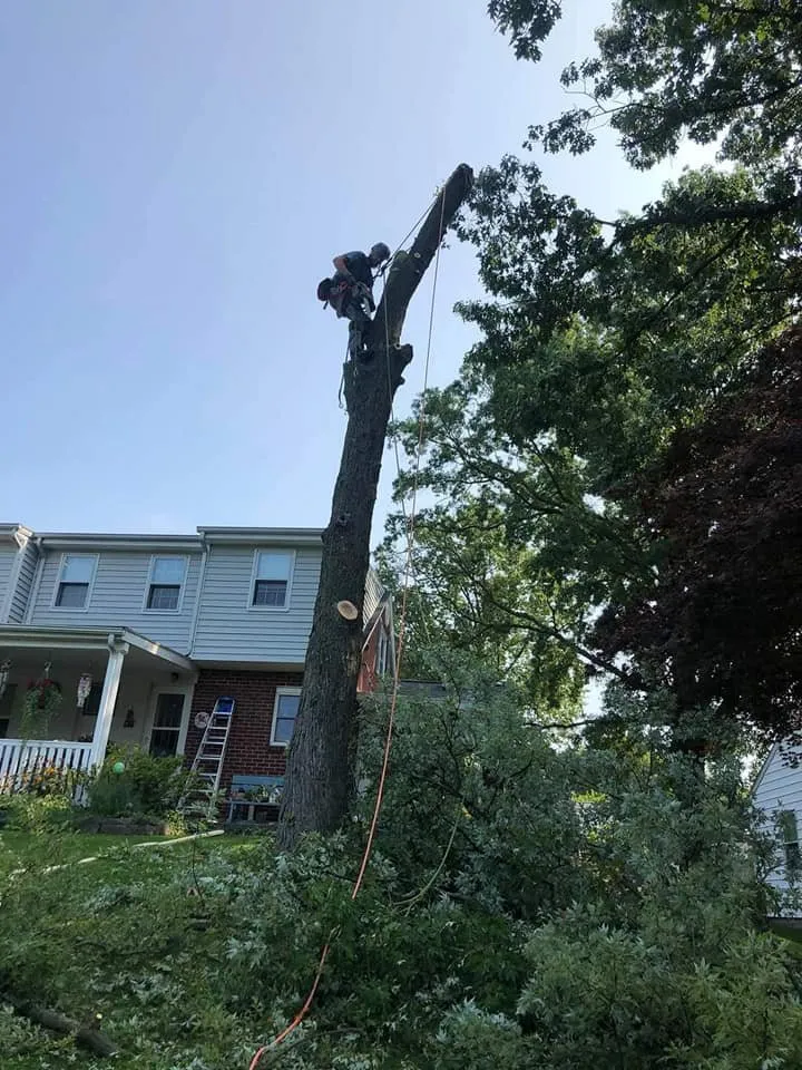 Trusted outdoor landscaping in Massillon, OH - Ebert and Sons Tree and Lawncare