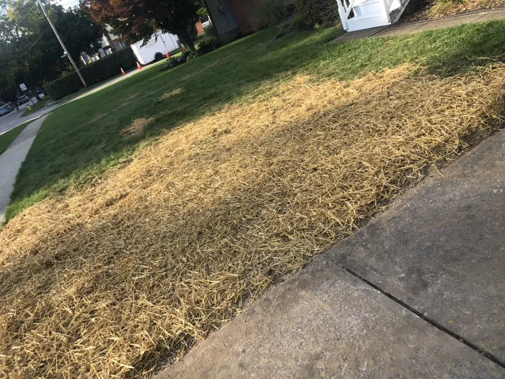 Reliable landscape design for residential properties across Massillon, OH - Ebert and Sons Tree and Lawncare