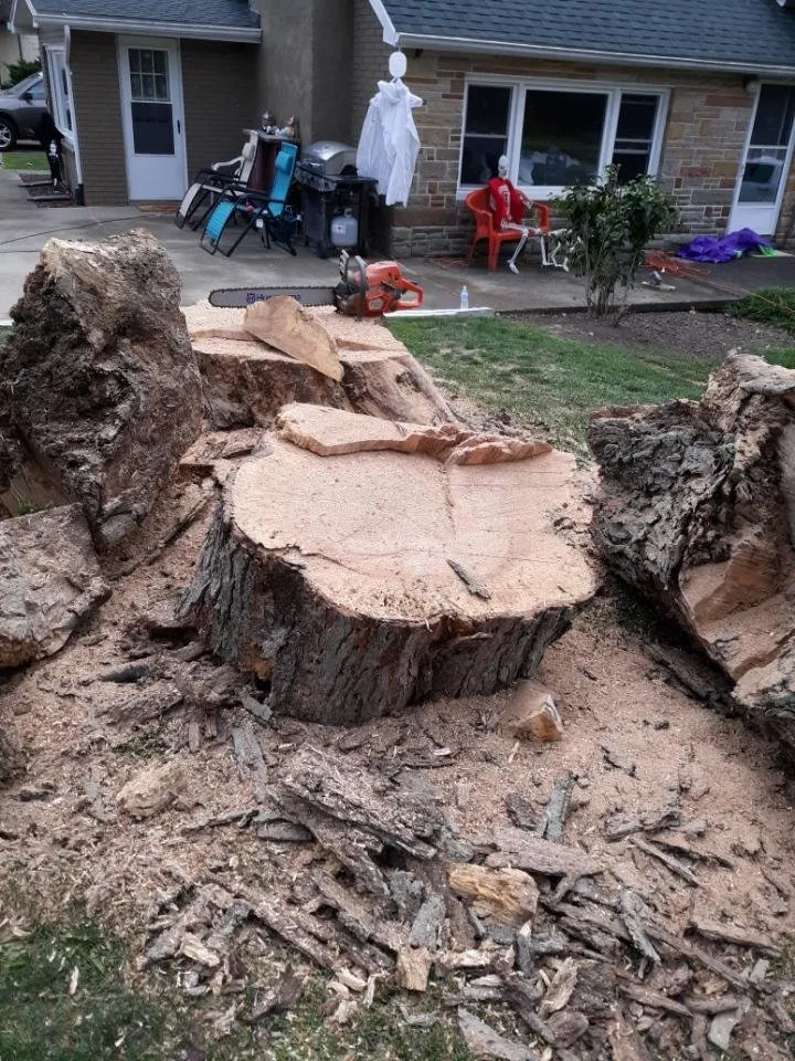 Professional outdoor landscaping experts serving Massillon, OH - Ebert and Sons Tree and Lawncare