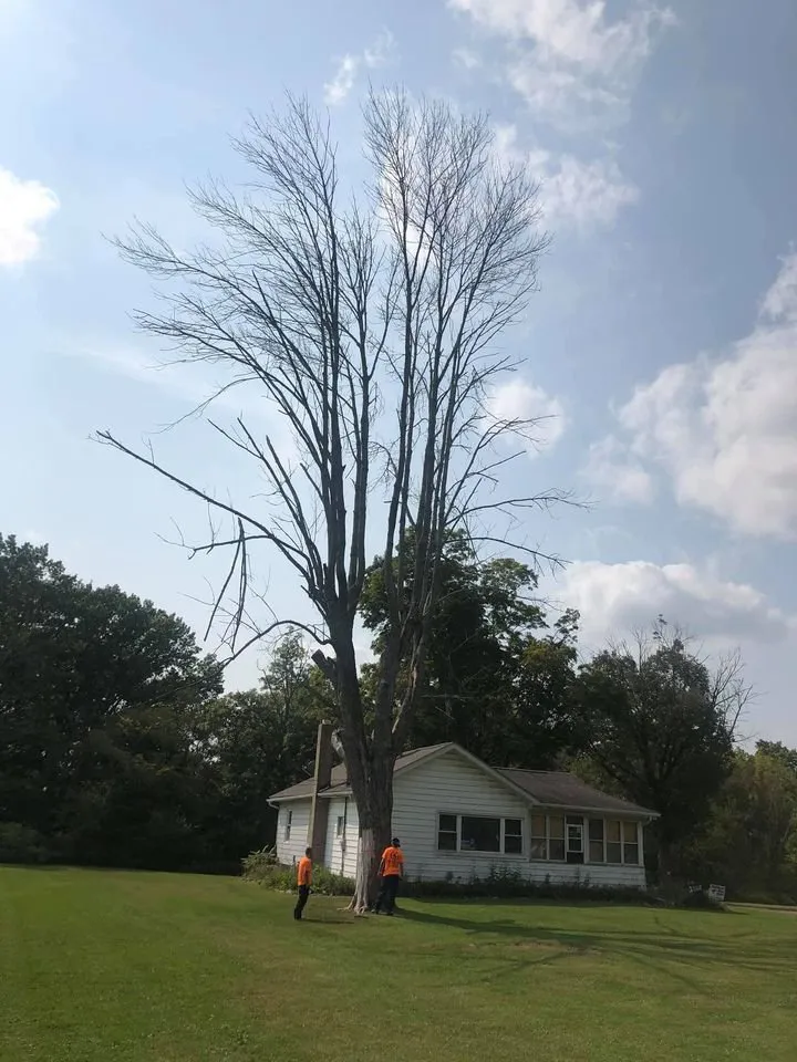 Top-rated landscaping services for outdoor upgrades in Massillon, OH by Ebert and Sons Tree and Lawncare