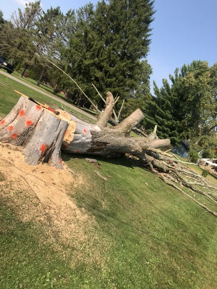 Reliable landscape installation in Massillon, OH by Ebert and Sons Tree and Lawncare