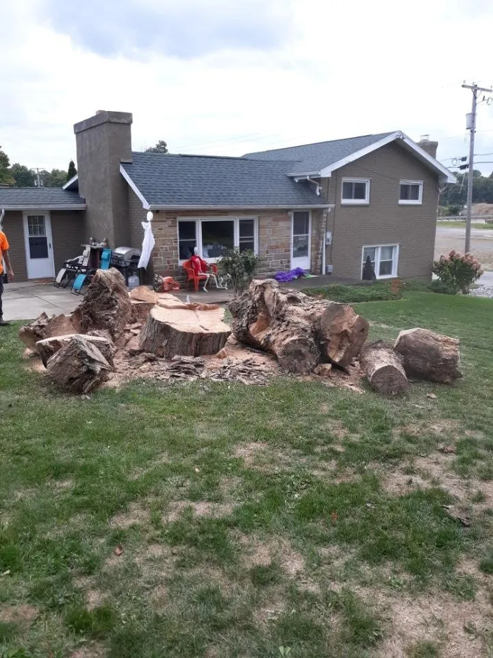 Professional landscape design for year-round maintenance across Massillon, OH - Ebert and Sons Tree and Lawncare