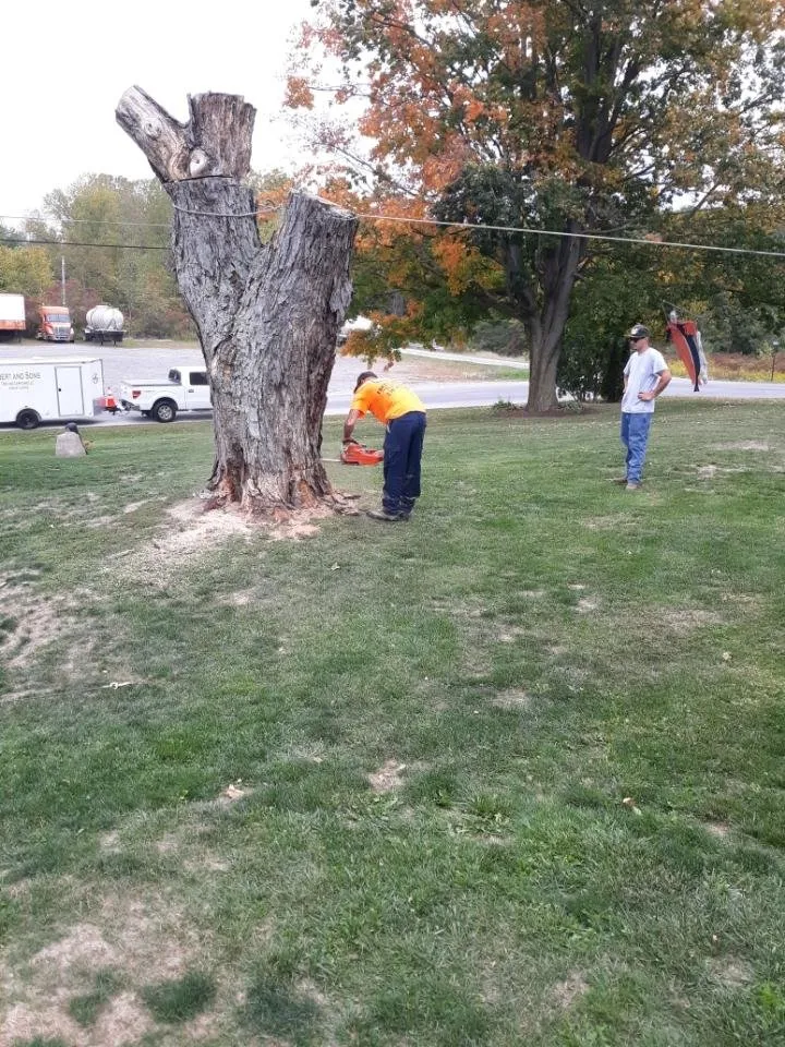 Professional lawn care service in Massillon, OH by Ebert and Sons Tree and Lawncare