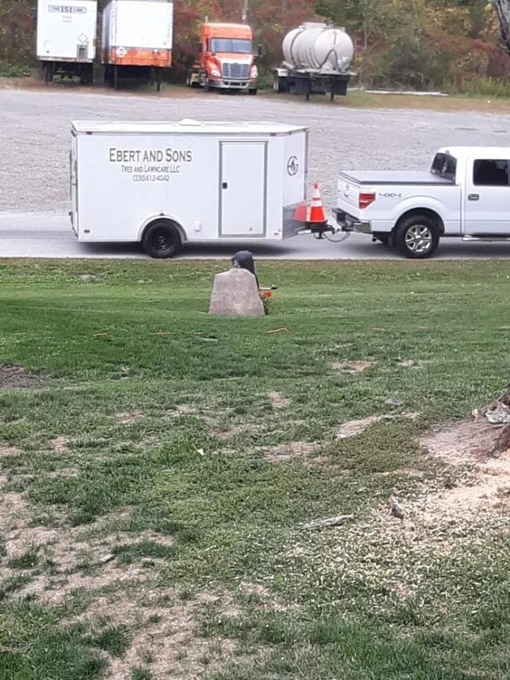 Affordable yard maintenance for year-round maintenance across Massillon, OH - Ebert and Sons Tree and Lawncare