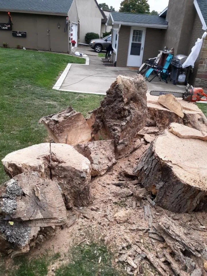 Affordable lawn care service in Massillon, OH - Ebert and Sons Tree and Lawncare