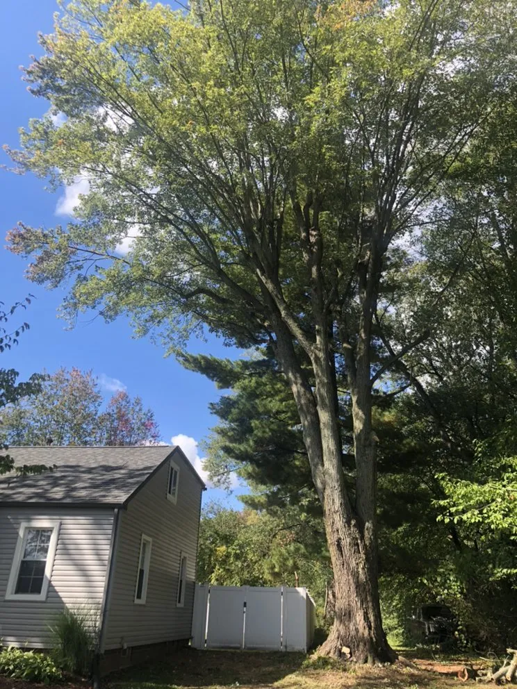 Affordable landscaping services experts serving Massillon, OH - Ebert and Sons Tree and Lawncare