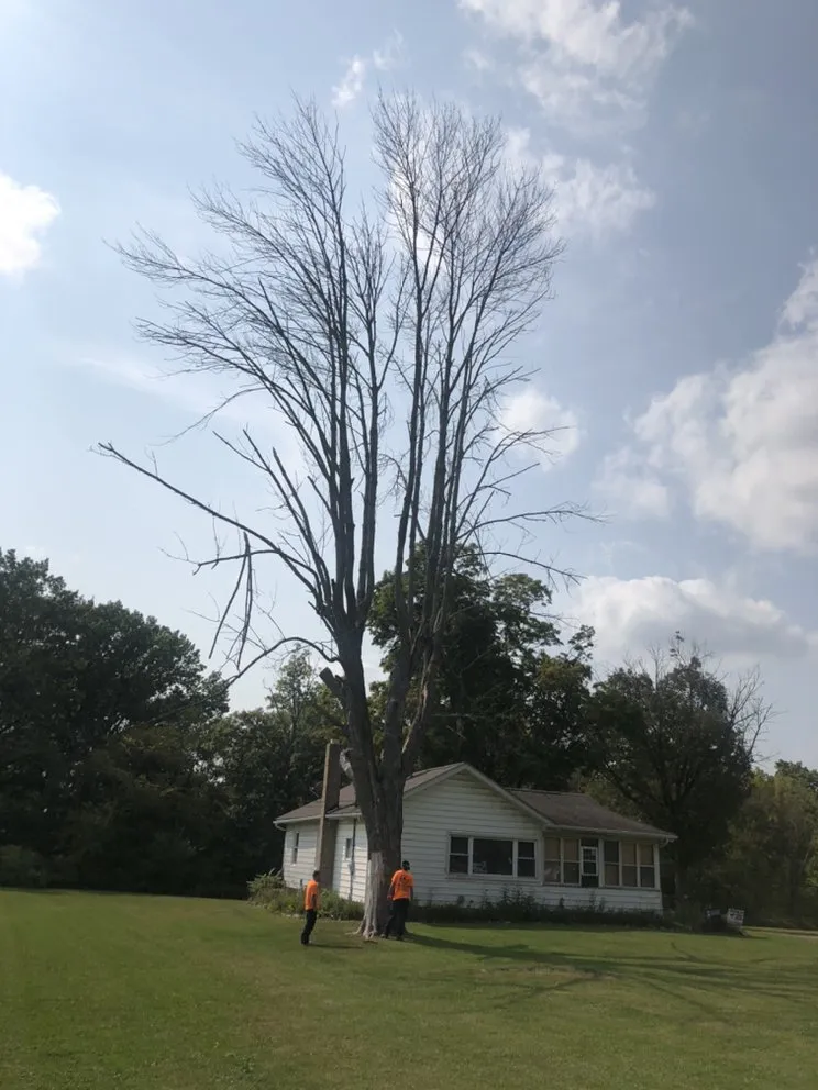 Affordable landscape installation in Massillon, OH - Ebert and Sons Tree and Lawncare