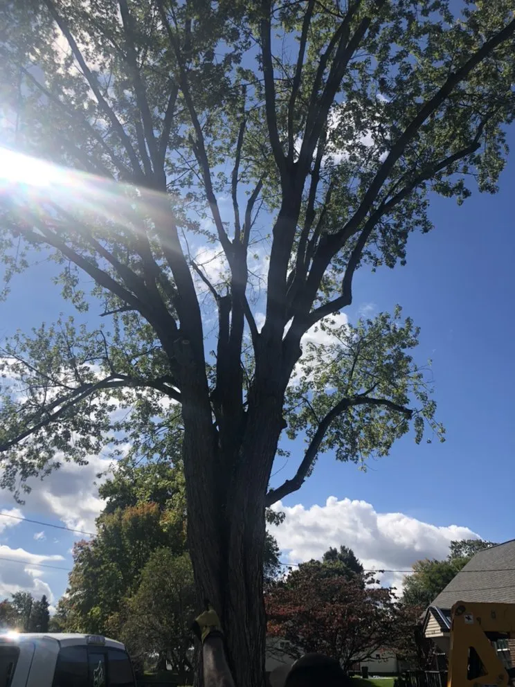 Custom garden landscaping experts serving Massillon, OH - Ebert and Sons Tree and Lawncare