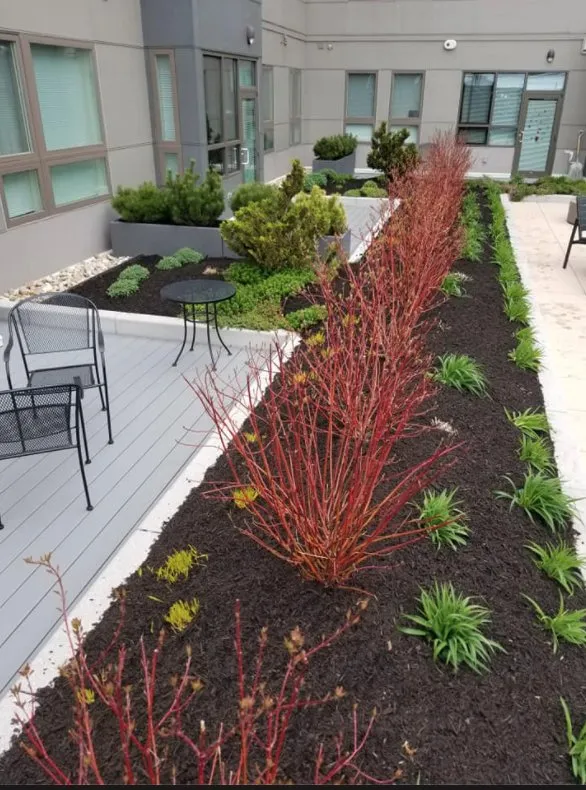 Affordable outdoor landscaping in Lynn, MA - EBL Landscape & Construction