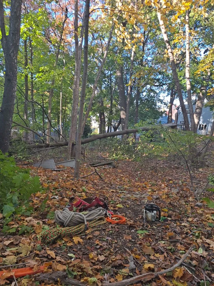 Trusted landscape design for homes in Lynn, MA by EBL Landscape & Construction