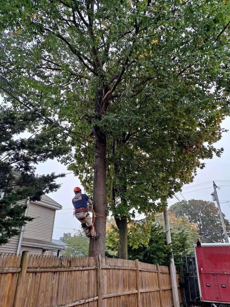 Professional residential landscaping for outdoor upgrades across Lynn, MA - EBL Landscape & Construction