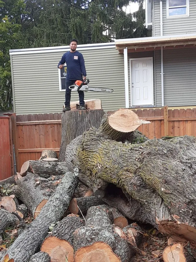 Expert landscape design in Lynn, MA - EBL Landscape & Construction