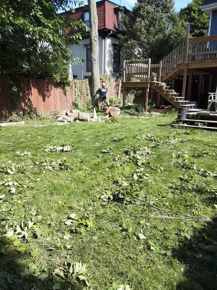 Professional landscape installation in Lynn, MA - EBL Landscape & Construction