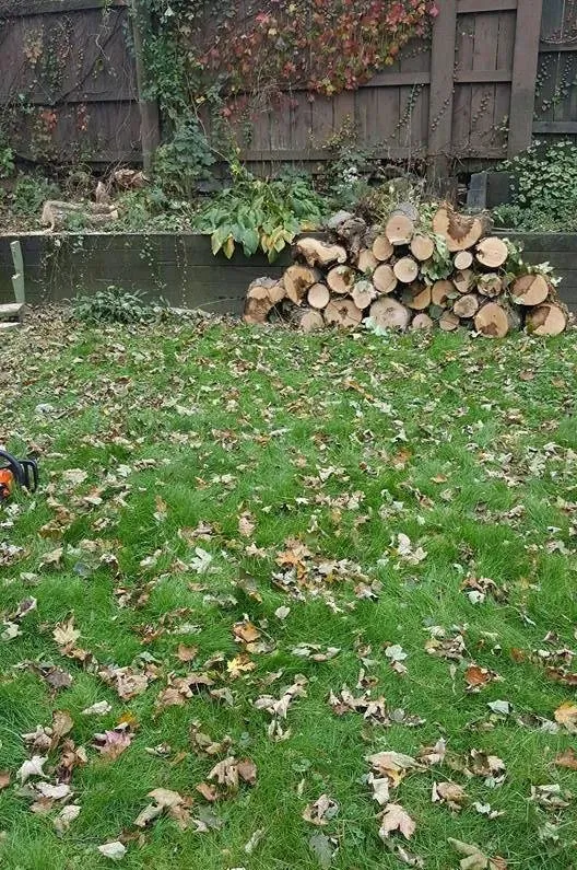 Top-rated yard cleanup service for beautiful yards across Lynn, MA - EBL Landscape & Construction